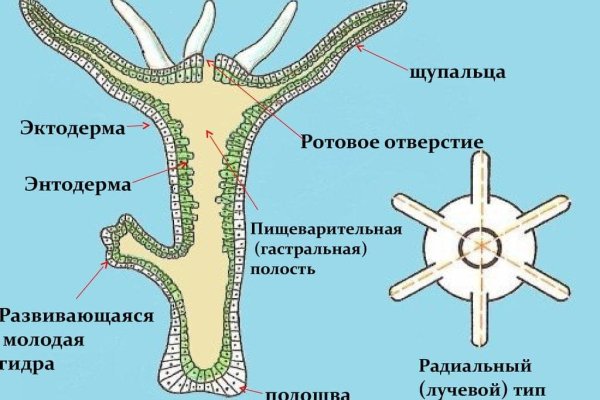 Как попасть на сайт мега мориарти